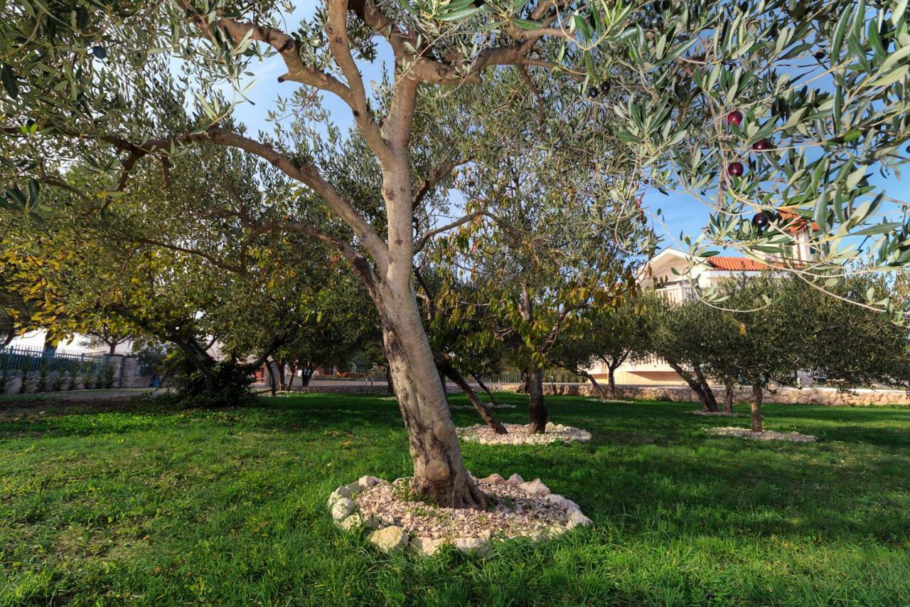 Villa Dream Srima Dış mekan fotoğraf
